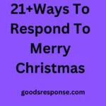 21+Ways To Respond To Merry Christmas