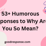 Humorous responses to "Why are you so mean?"