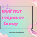 wyd text response funny