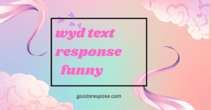 wyd text response funny